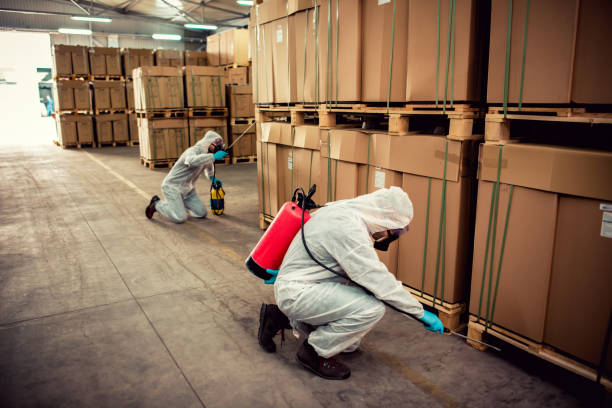 Best Termite Control Services  in Slayton, MN