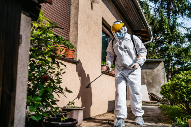 Best Exterminator Services  in Slayton, MN