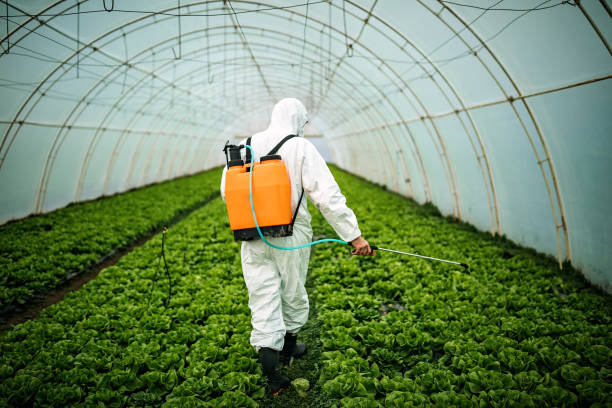 Best Pest Removal Services  in Slayton, MN