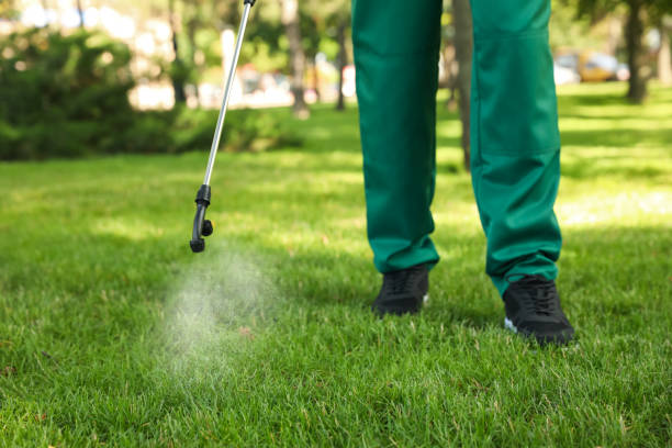 Best Best Pest Control Companies  in Slayton, MN