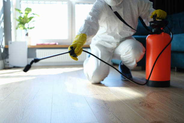Best Flea Control Services  in Slayton, MN
