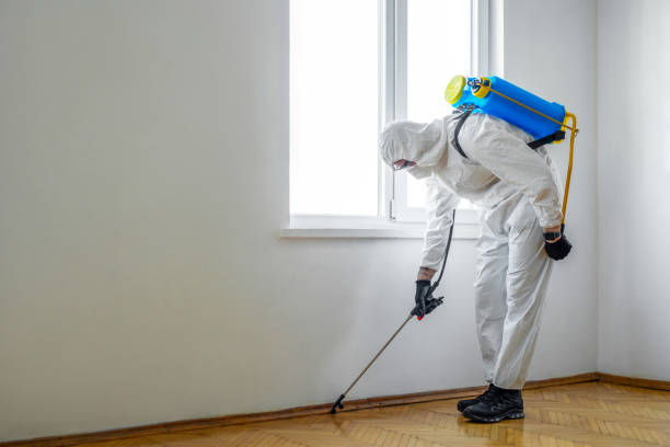 Best Pest Removal Services  in Slayton, MN