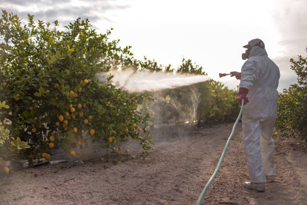 Best Pest Control Near Me in Slayton, MN