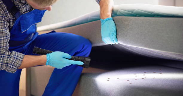 Best Emergency Pest Control  in Slayton, MN