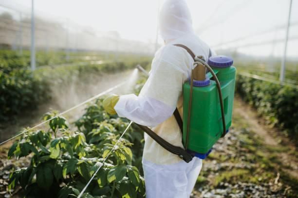 Reliable Slayton, MN Pest Control Solutions